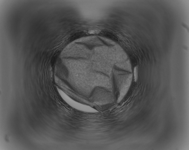 X0000097661443200803280941