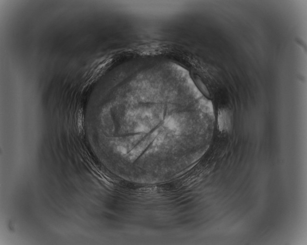 X0000097661444200803280940