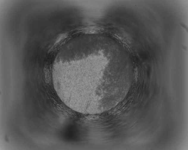 X0000097661446200803280940