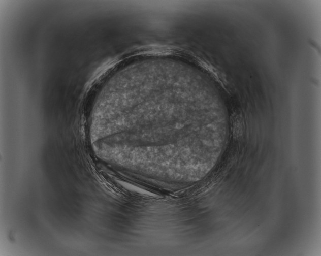 X0000097661448200803280940