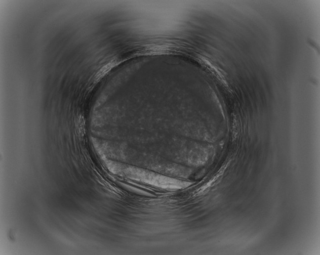 X0000097661449200803280940