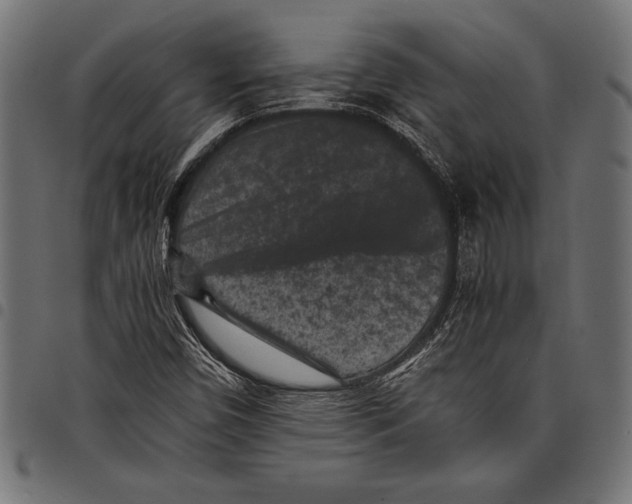 X0000097661450200803280940