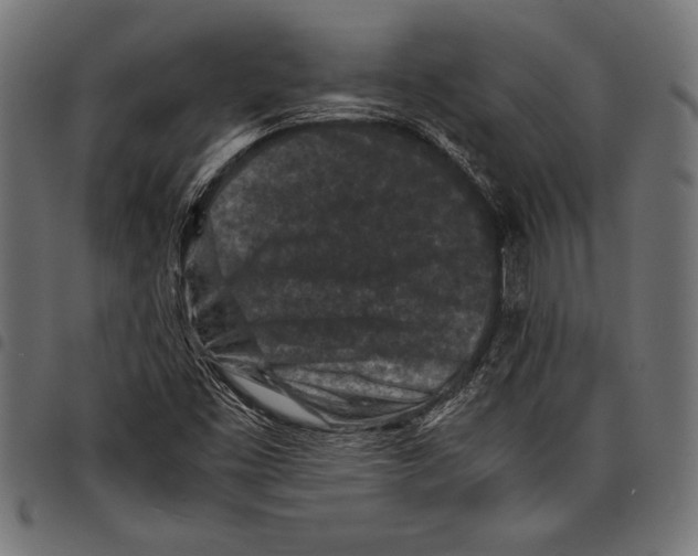 X0000097661453200803280940