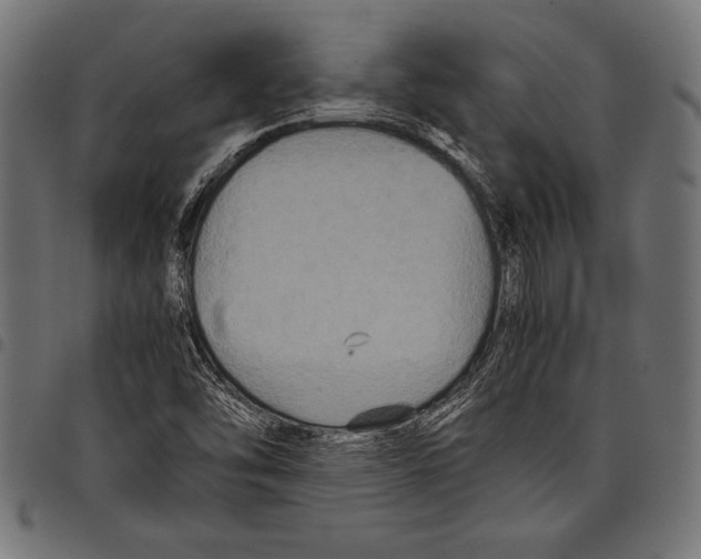 X0000097661454200803280940