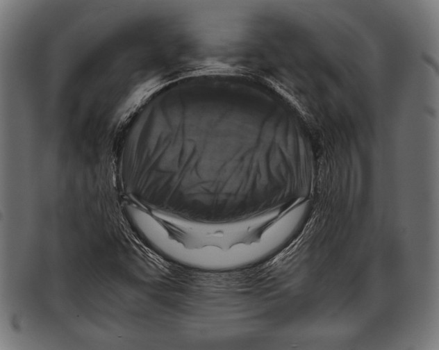 X0000097661455200803280940