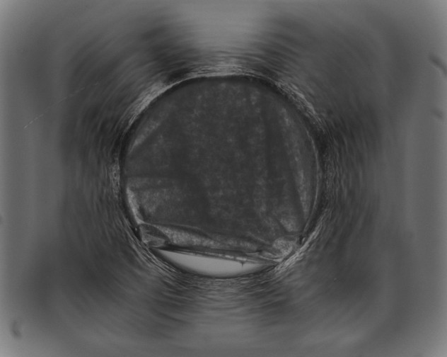 X0000097661457200803280940