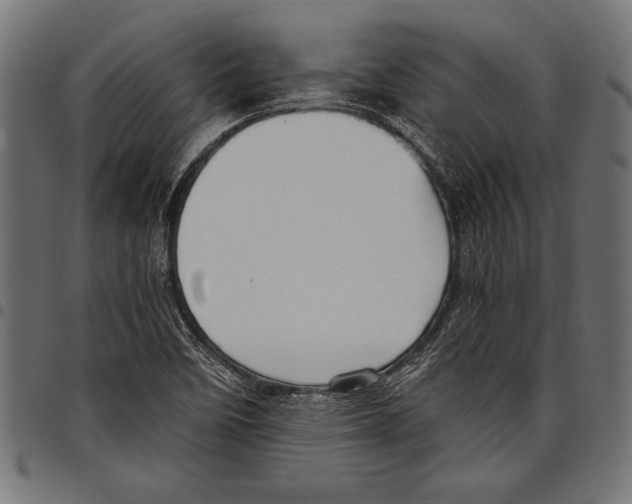 X0000097661458200803280940