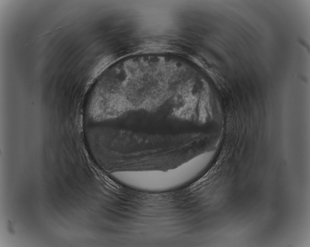 X0000097661459200803280940