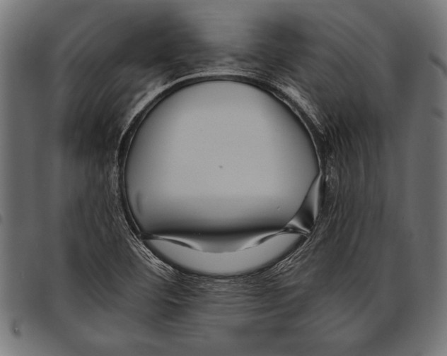 X0000097661460200803280940