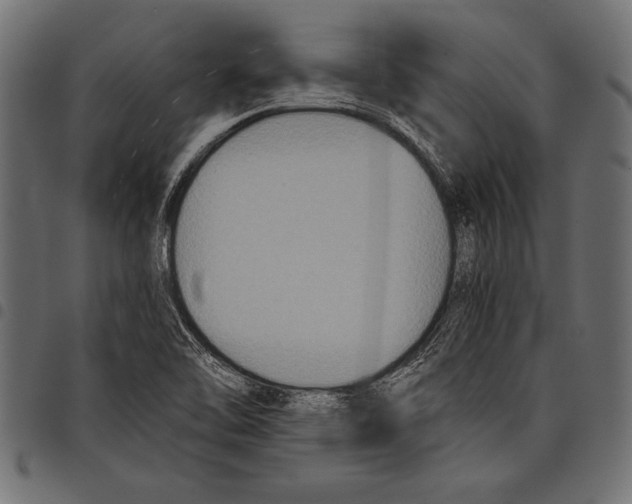 X0000097661462200803280940