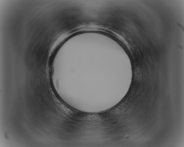 X0000097661464200803280940