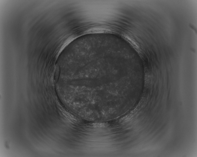 X0000097661465200803280940