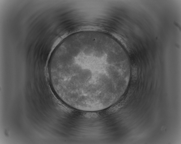X0000097661466200803280940