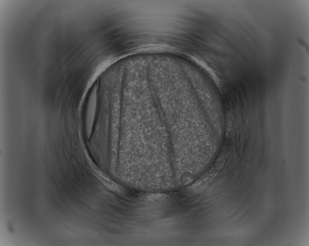 X0000097661467200803280940