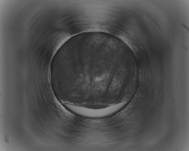 X0000097661468200803280940