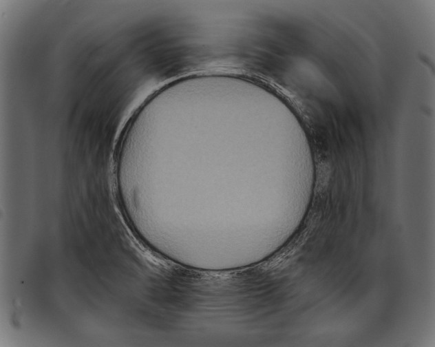 X0000097661470200803280940