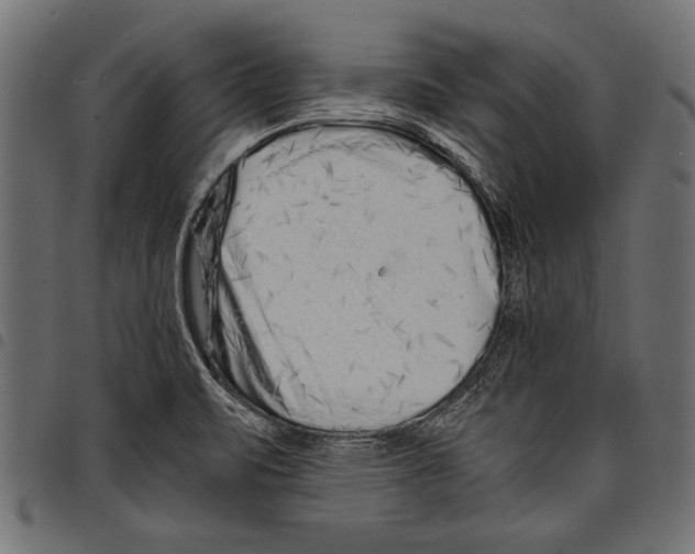 X0000097661471200803280940