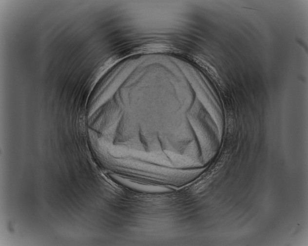 X0000097661473200803280940