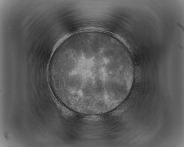 X0000097661474200803280940