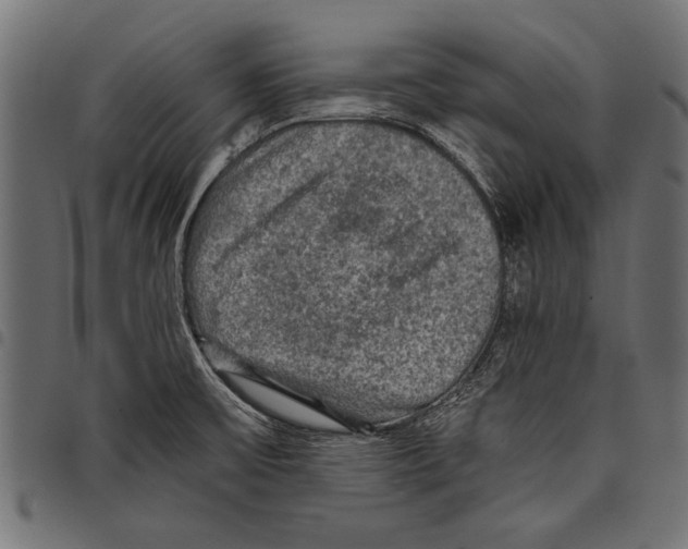 X0000097661475200803280940