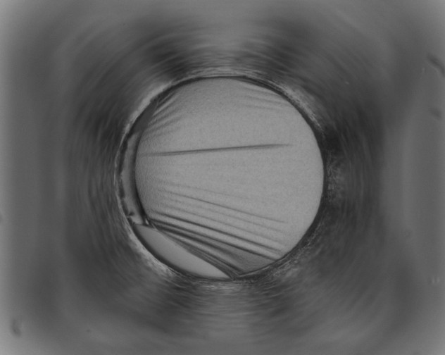 X0000097661476200803280940