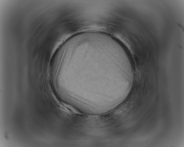 X0000097661477200803280940