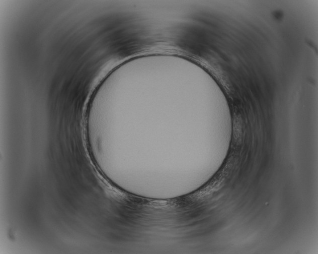 X0000097661478200803280940