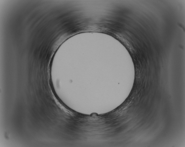 X0000097661479200803280940