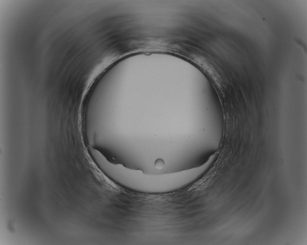 X0000097661480200803280940