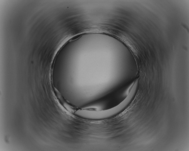 X0000097661484200803280940