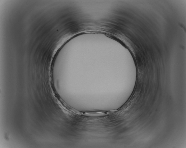 X0000097661485200803280940