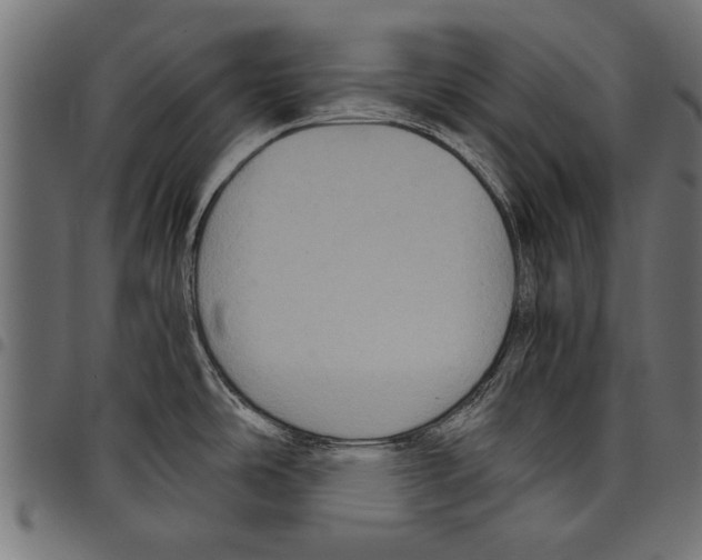 X0000097661486200803280940