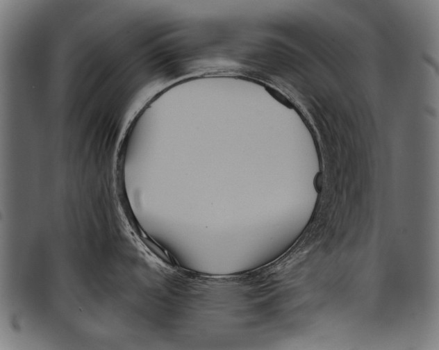 X0000097661488200803280940