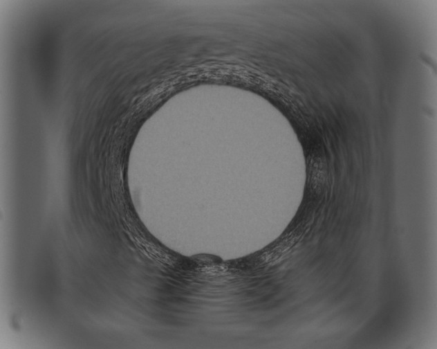 X0000097661489200803280939