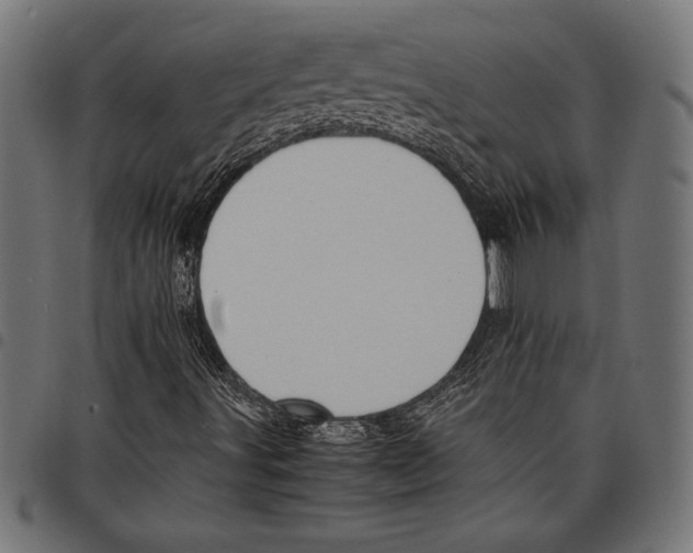 X0000097661491200803280939