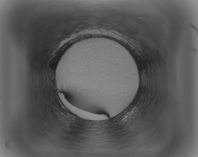 X0000097661494200803280939