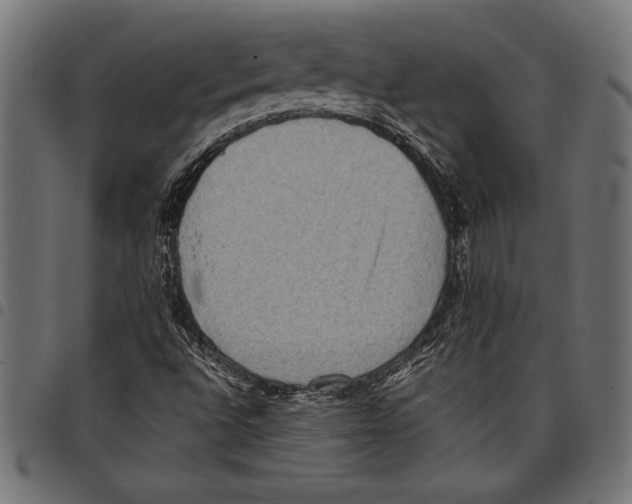 X0000097661496200803280939