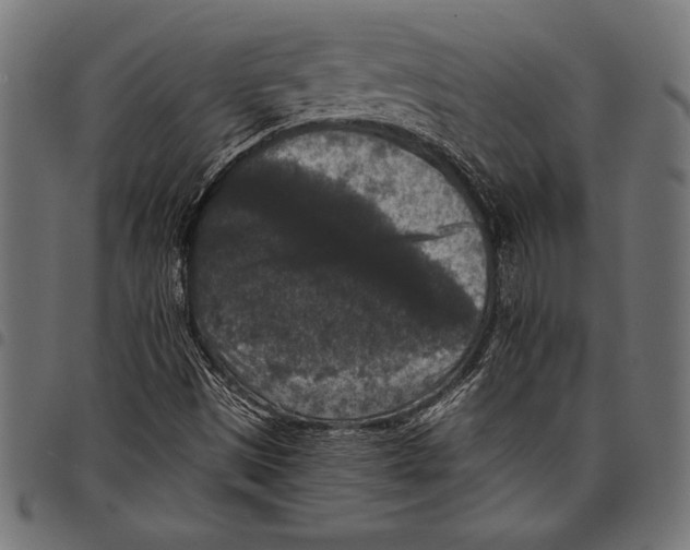 X0000097661497200803280939