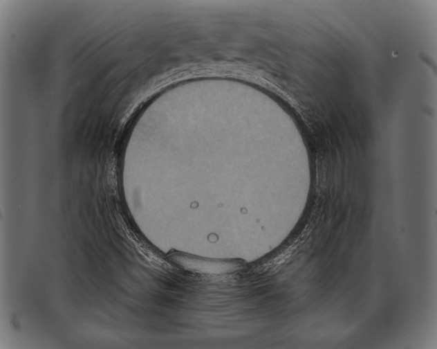 X0000097661498200803280939