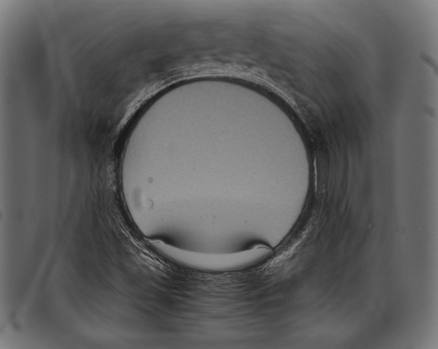 X0000097661501200803280939