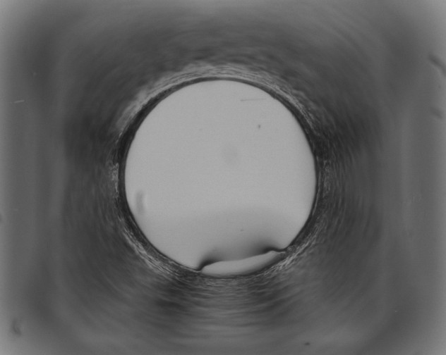 X0000097661503200803280939