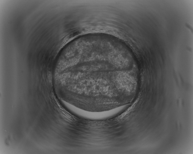 X0000097661505200803280939