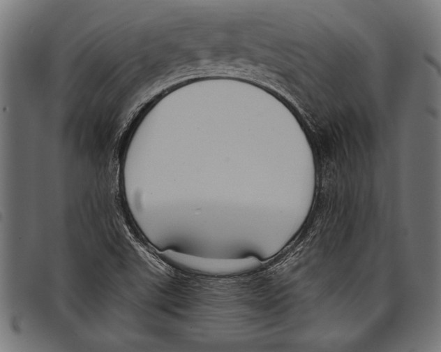 X0000097661507200803280939