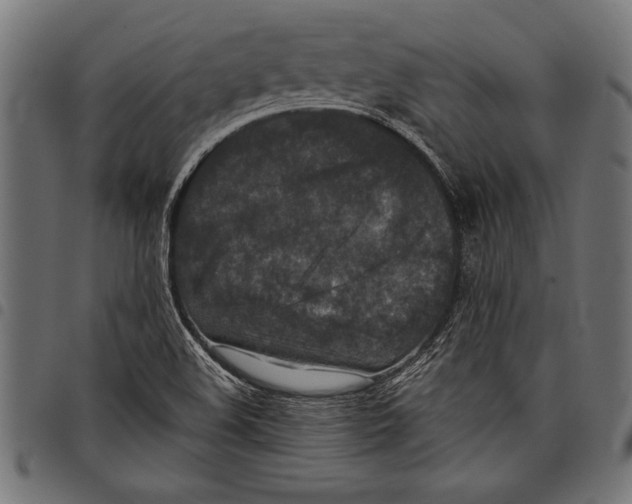 X0000097661508200803280939