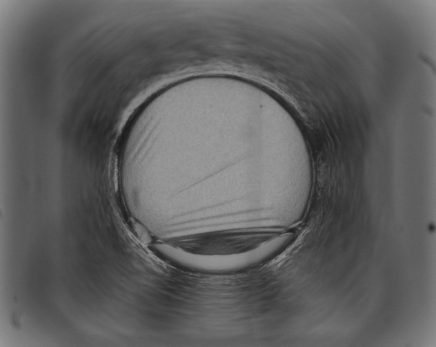 X0000097661510200803280940