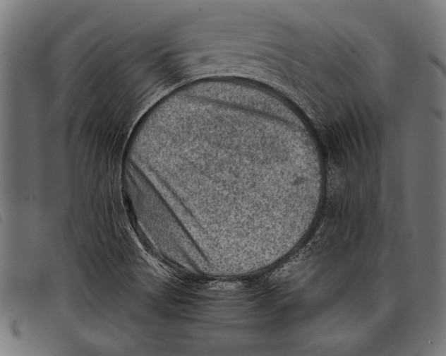 X0000097661513200803280940