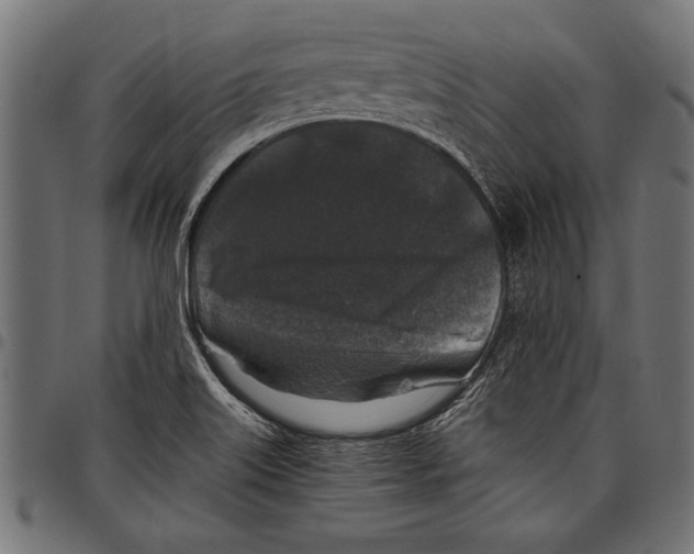 X0000097661515200803280940