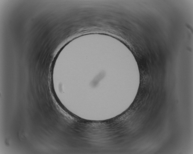 X0000097661518200803280940