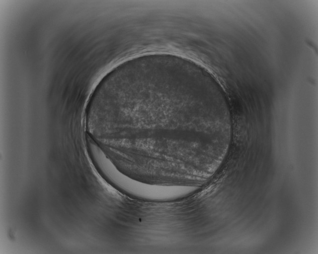 X0000097661519200803280940