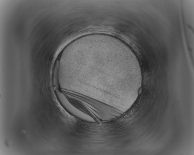 X0000097661520200803280940